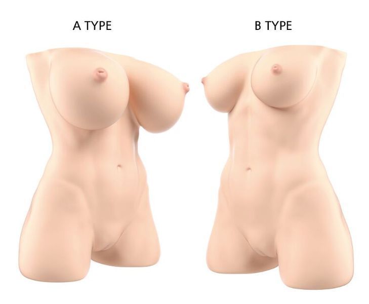 Мастурбатор-торс Naked Factory JESSICA A TYPE, великі груди, дуже реалістичний, наскрізний SX3483 фото
