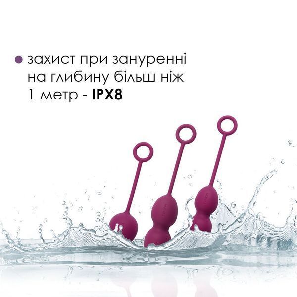 Набір вагінальних кульок зі зміщеним центром ваги Svakom Nova Violet (м'ята упаковка!!!) SO4831-R фото