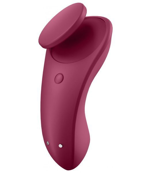 Набір Satisfyer Partner Box 1 (вібратор для пар Double Joy + вібратор у трусики Sexy Secret) (м'ята упаковка!!!) SO7143-R фото