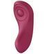 Набір Satisfyer Partner Box 1 (вібратор для пар Double Joy + вібратор у трусики Sexy Secret) (м'ята упаковка!!!) SO7143-R фото 7