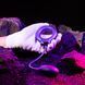 Ерекційне віброкільце з віброяйцем Hueman - Eclipse Anal Vibrator SX3893 фото 10