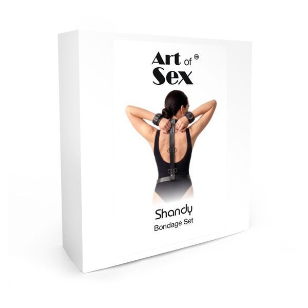 Бондажний набір Art of Sex &ndash; Shandy L-2XL, екошкіра, чорний SX4555 фото