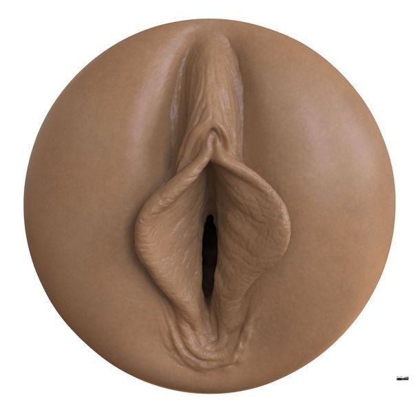 Мастурбатор-вагіна Fleshlight Boost Bang Medium Dark Flesh, плаваючі кільця Turbo Tech SX1315 фото