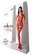 Бодістокінг з плетінням на животику Passion BS100 One Size, red, декоративний шов, з доступом SO8942 фото 6