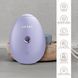 Електронний освіжувач для зволоження обличчя GESKE Facial Hydration Refresher 4в1 purple HB0167 фото 3
