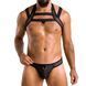 Комплект чоловічої білизни з кріпленнями Passion 043 JACOB XXL/XXXL Black, труси, шлейки SO7602 фото 1