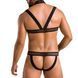 Комплект чоловічої білизни з кріпленнями Passion 043 JACOB XXL/XXXL Black, труси, шлейки SO7602 фото 2