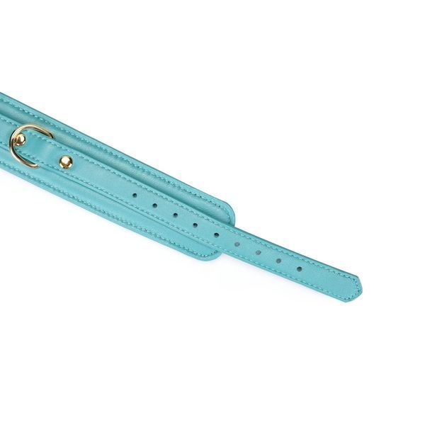 Нашийник з повідцем Liebe Seele Blue Lamb Leather Collar with Velvet Lining SX4843 фото
