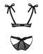 Напівпрозорий еротичний комплект Obsessive Obsessivia 2-pcs set black L/XL, бюстгальтер та трусики SO7298 фото 6